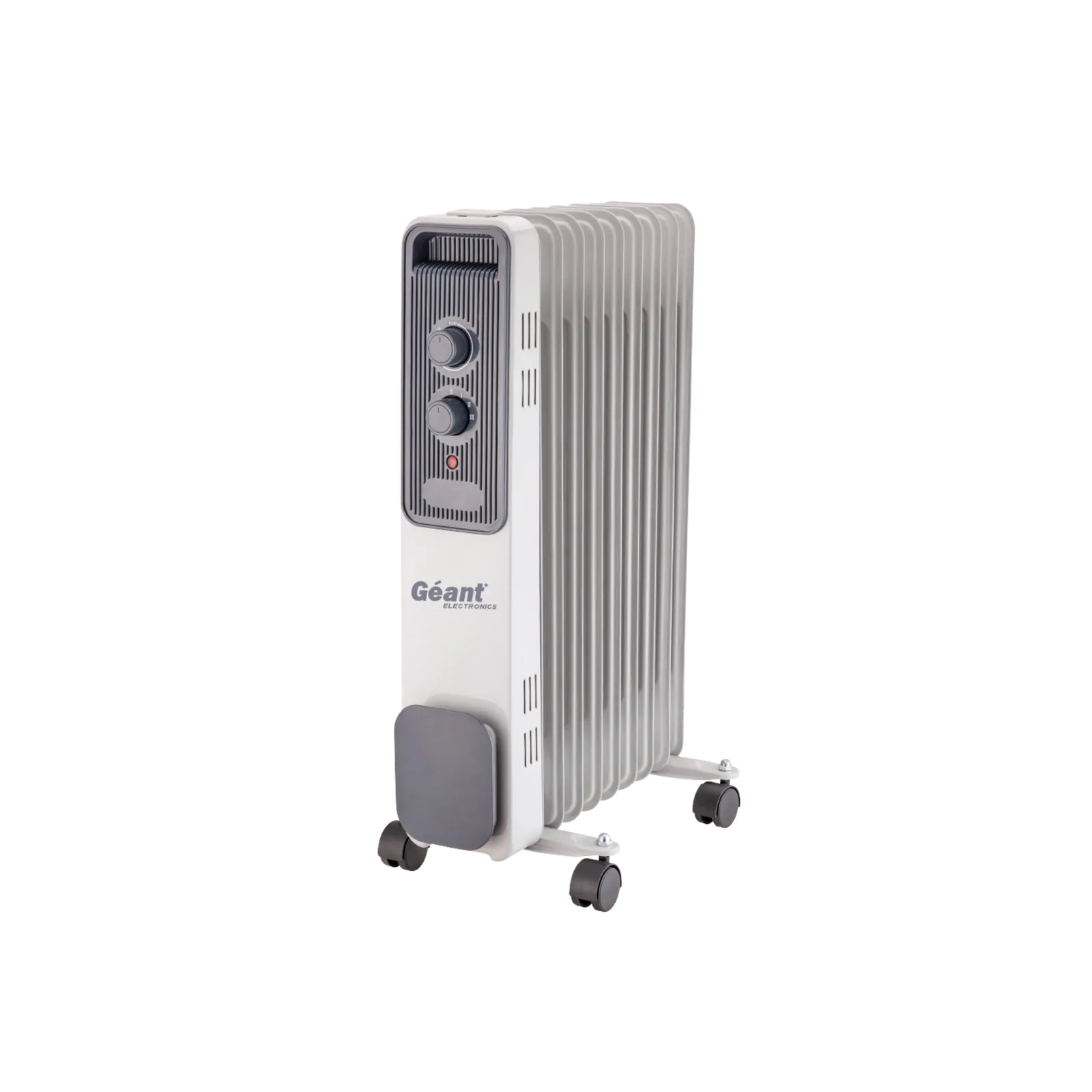Bain d'huile GN-BH11-ZN29G — photographie du catalogue officiel Géant